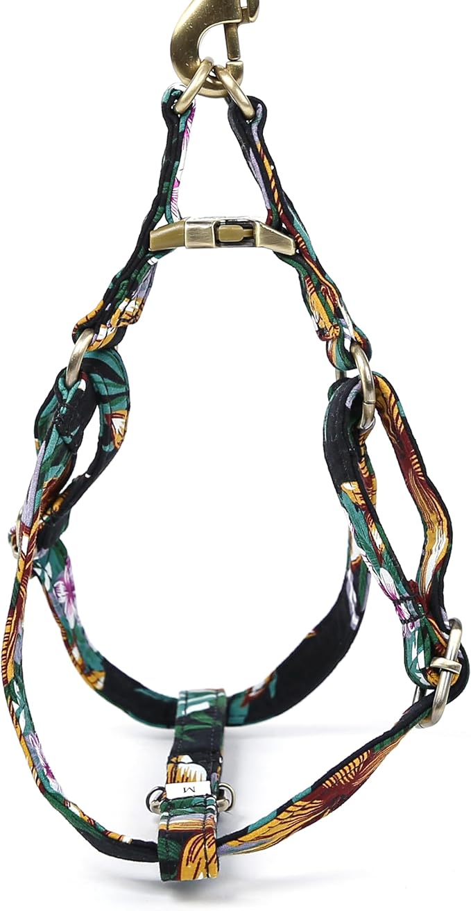 Angie and Allie Organic Cotton Personalized Step in Dog Harness,Custom Dog Halter Vests,Adjustable No Pull Canine Halter Harness for Small Medium Large Dogs