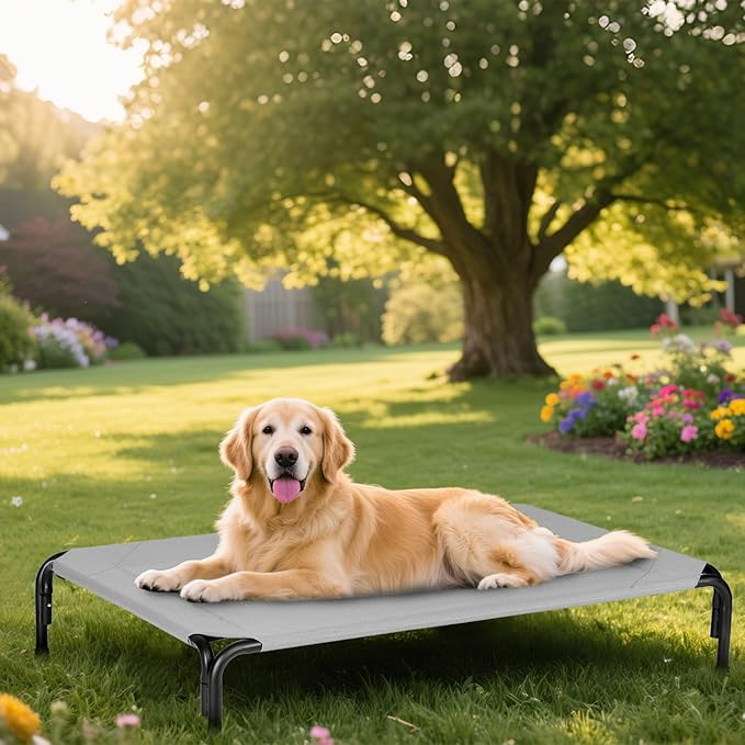 Elevated Dog Bed for Outdoor, Large Raised Dogs Cot for Training, Cooling Pet Beds with Washable Mesh, Indestructible Lifted Platform for Outside Camping, 41 inch Grey