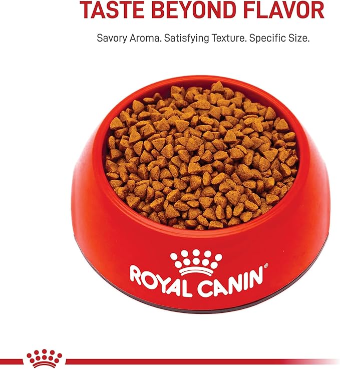 Royal Canin Size Health Nutrition Small Starter Mother & Babydog Dry Dog Food, 2.5 lb Bag