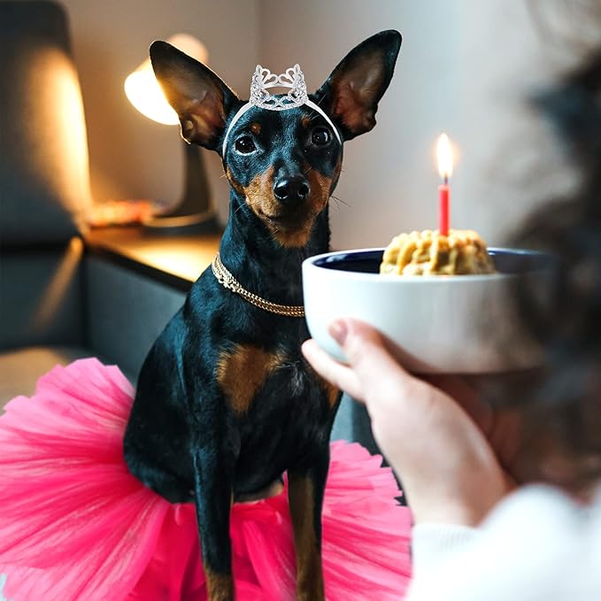 2 Pcs Dog Crown Headband Dog Tutu Dress Set Crystal Rhinestone Tiara Crown Tutu Skirt Pet Dress Costume for Puppy Birthday Party Wedding Photo Prop Costume(X-Large,Rose Red)