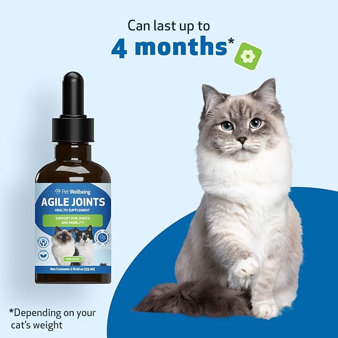 Pet Wellbeing Agile Joints for Cats - Hip and Joint Health, Mobility, Devil’s Claw, Boswellia, Joint Ligament and Cartilage - Veterinarian-Formulated Herbal Supplement 2 oz (59 ml)