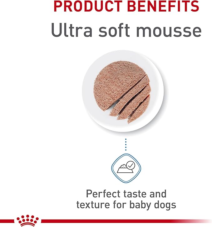 Royal Canin Size Health Nutrition Starter Mother & Babydog Mousse in Sauce Dog Food, 5.1 oz (Pack of 24)