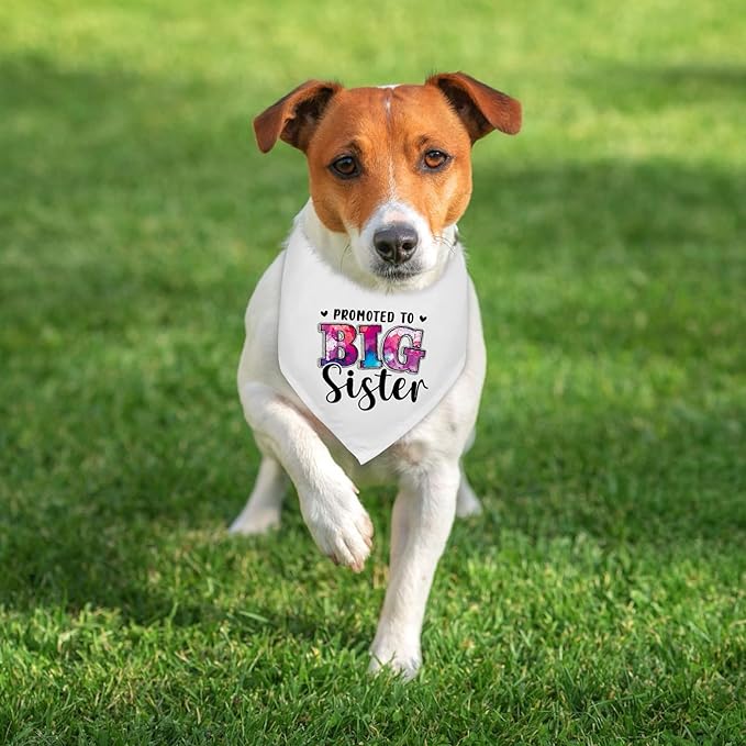 Promoted to Big Sister Baby Announcement Dogs Bandana Gender Reveal Dog Bandana Pregnancy Announcement Photo Prop Pet Scarf Accessories for Pet Dog Lovers Gifts - White