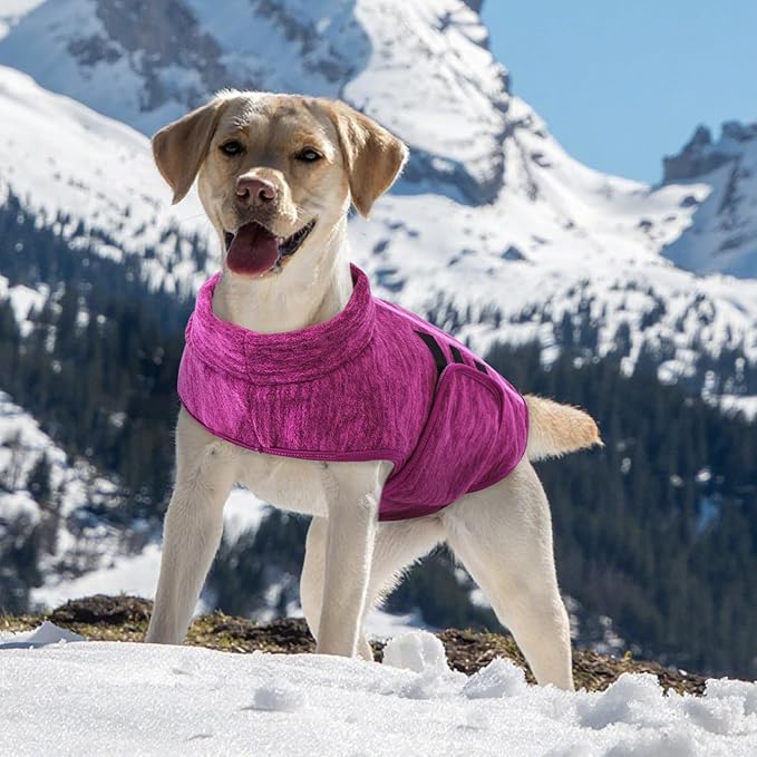 Queenmore Medium Dog Sweaters, Soft Fleece Vest Pullover Dog Jacket with Leash Hole, Warm Winter Dogs Clothes Cold Weather Doggy Dachshund Sweater for Medium Dogs Cats Boy or Girl (Cationic Berry,M)