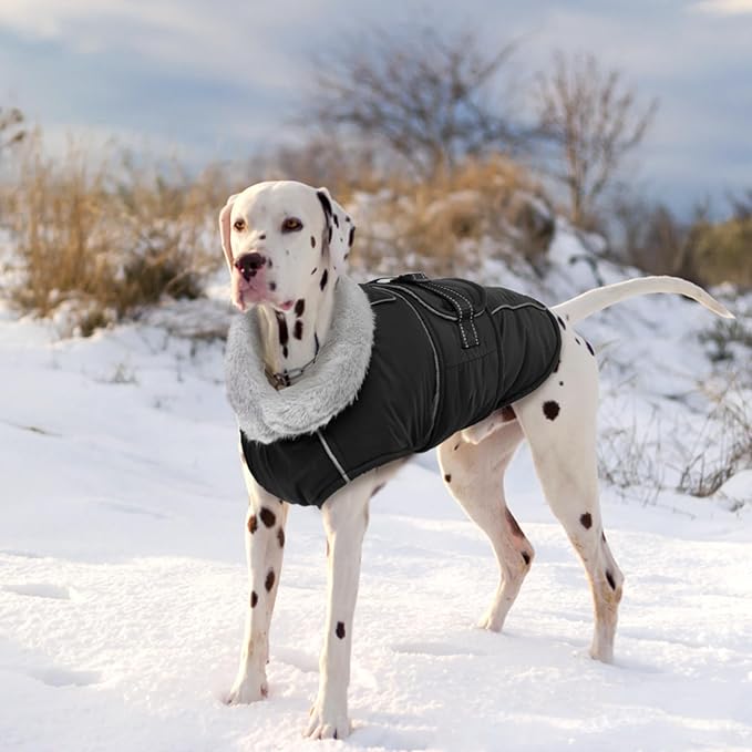 Lelepet Warm Dog Coat Reflective Dog Fleece Vest Waterproof Jacket Windproof Winter Cold Weather Coats with Adjustable Buckle Jackets for Extra Large Dogs, Black, XXXL