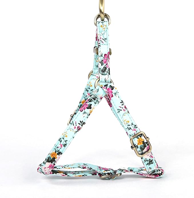 Angie and Allie Organic Cotton Personalized Step in Dog Harness,Custom Dog Halter Vests,Adjustable No Pull Canine Halter Harness for Small Medium Large Dogs