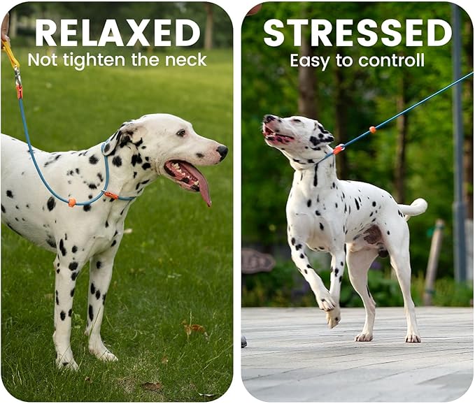 Slip Lead Dog Leash with Double Handles | Reflective Dog Training Lead with 360° Swivel Anti-Tangle | Heavy-Duty Leash and Collar for Large Medium and Small Dogs No-Pull Walking (Orange, 5.5FT)