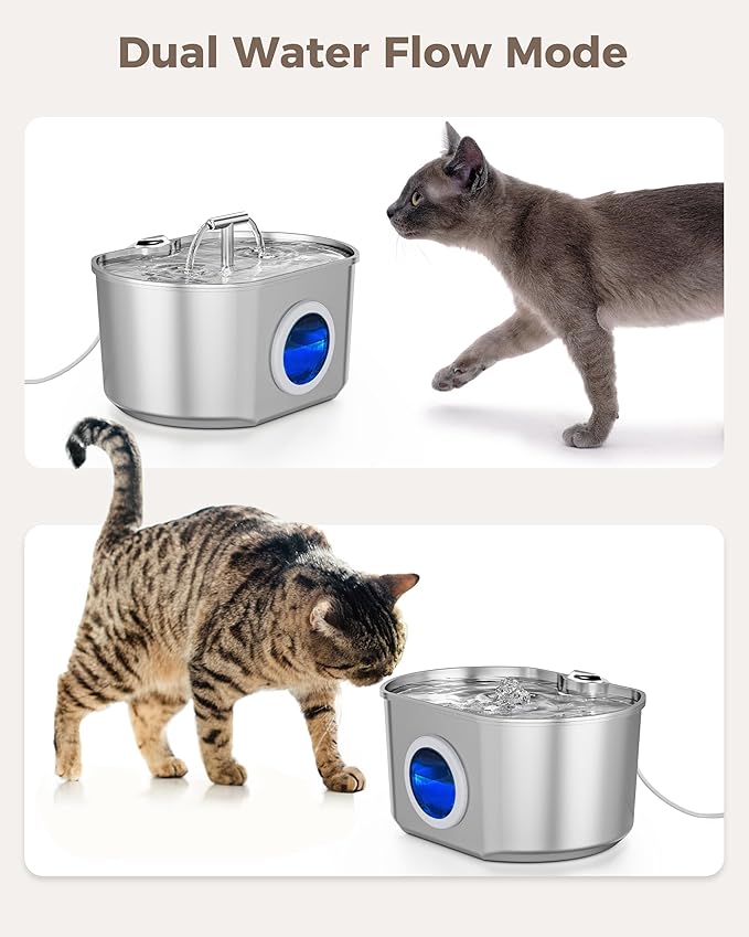 Cat Water Fountain Stainless Steel - Pet Drinking Fountain for Cats Indoor - 2.2L/74oz Automatic Water Dispenser with Watering Level Window (1 Filter)