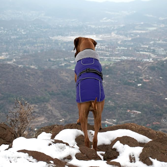 Lelepet Warm Dog Coat Reflective Fleece Vest Waterproof Dog Jacket with Adjustable Buckle Hook & Loop Windproof Cold Weather Coats for Small Medium Large Dogs, Blue, XXL