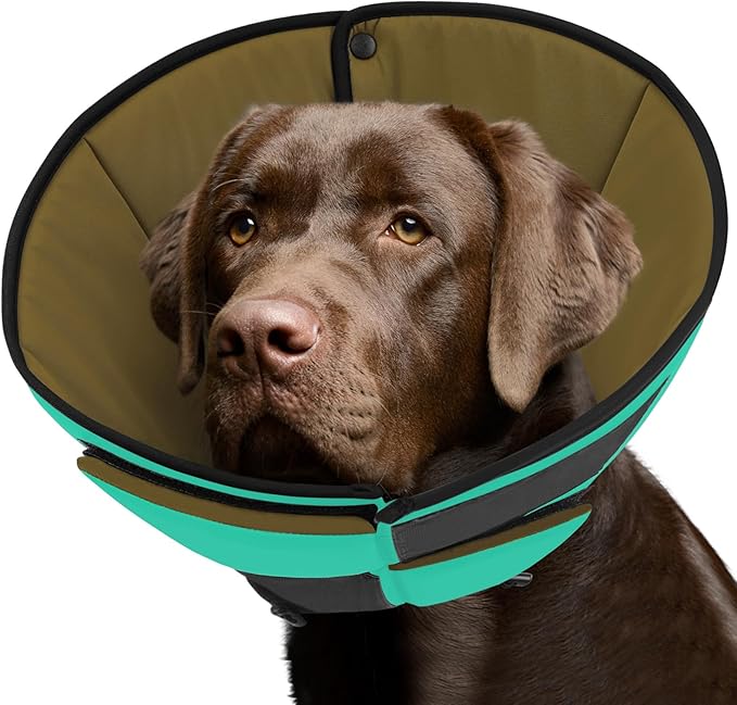 Queenmore Green XL Soft Dog Cone for Large Dogs, Post-Surgery Recovery, Adjustable, Breathable, Comfortable, Custom Fit, Polyester, Elizabethan Collar Alternative