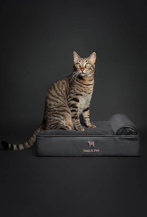 NOAH & PAW Small Dog Bed, 20x15x6.5 Inch, Cat Bed for Indoor Cats, Orthopedic Eggshell Memory Foam Infused with Cooling Gel, Waterproof, Machine Washable, Includes Inner Cover (Faux Leather)