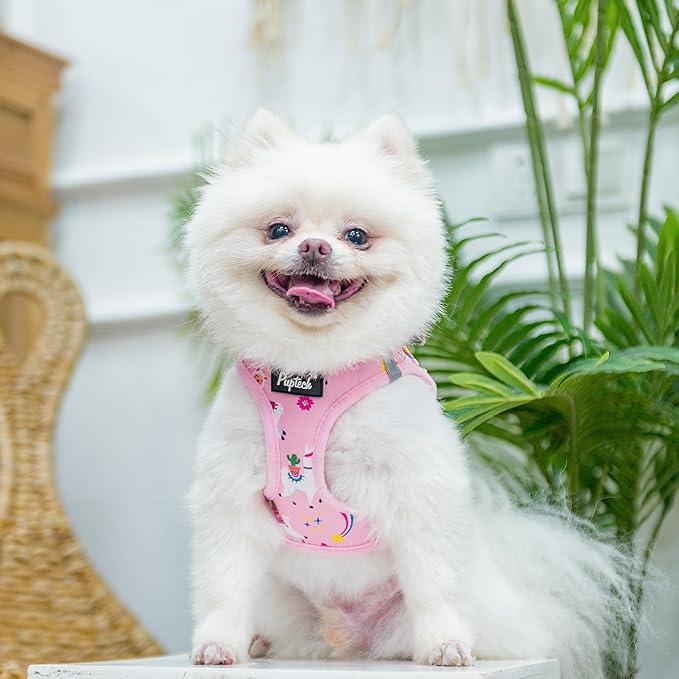 PUPTECK Adjustable Dog Harness Collar and Leash Set, Step in No Pull Pet Harness for Small Medium Dogs Puppy Cats Outdoor Walking, Soft Mesh Padded Reflective Vest Harnesses, Light Pink Alpaca, XXS
