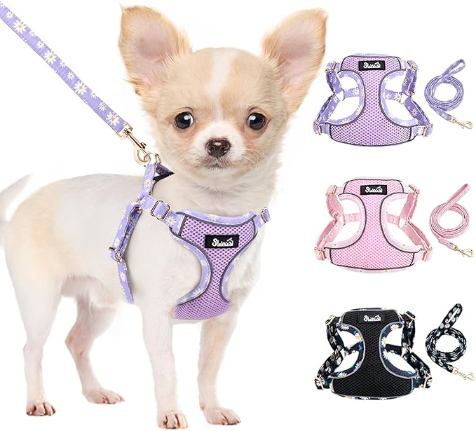 SlowTon Small Dog Harness - No Pull Dog Harness and Leash Set, Soft Mesh Lightweight Puppy Vest Harnesses, Adjustable Pet Harnesses for XXS XS Small Medium Easy Walk Hiking (Purple, S)