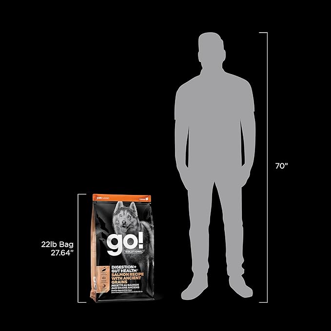 Go! Solutions Digestion + Gut Health, Dry Dog Food, Salmon Recipe with Ancient Grains, 22 lb Bag