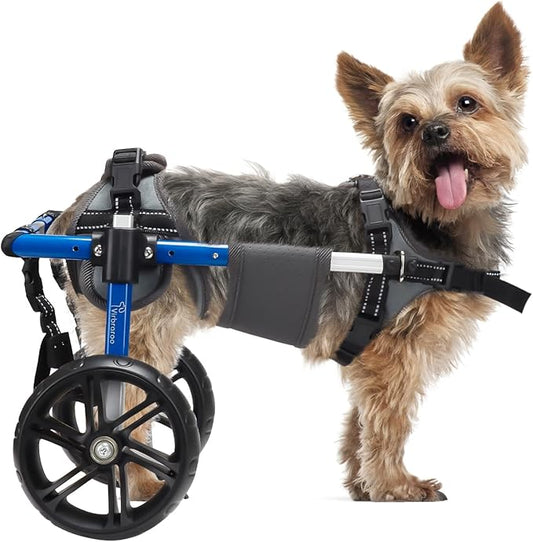 Dog Wheelchair for Back Legs with Upgraded All-Terrain Tires & Durable Bearings,Adjustable Dog Wheelchair for 9"-13.7",11-22 lbs Disabled or Injured Small Dogs
