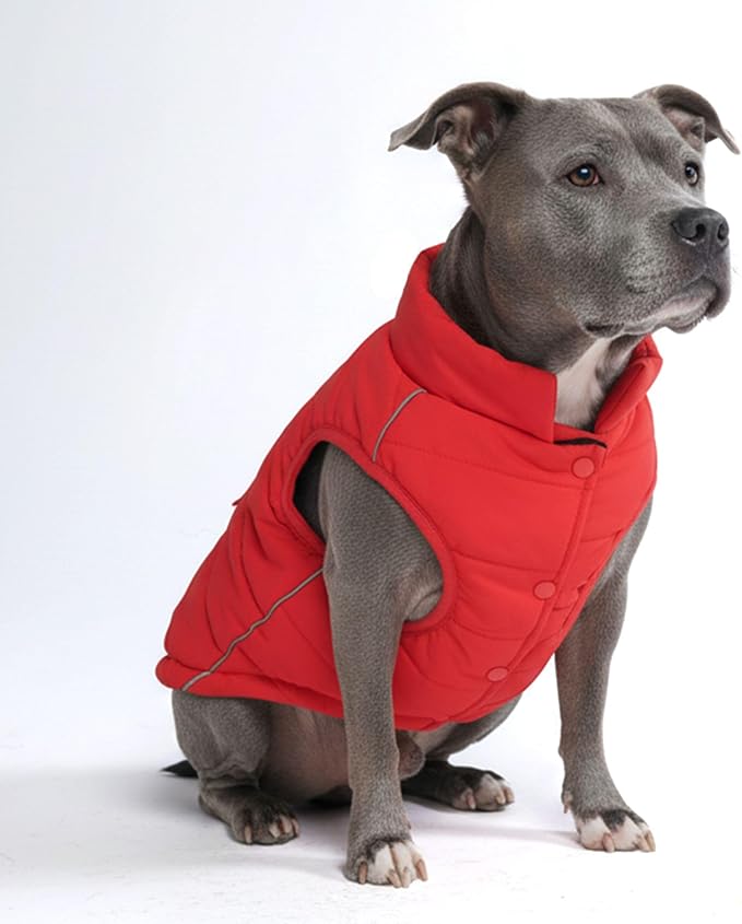 Spark Paws Dog Winter Jacket, Water-Resistant Coat, Warm Reflective Windproof Fleece-Interior, for Medium and Large Dogs - Red - 2XL