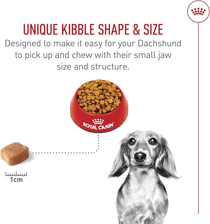 Royal Canin Dachshund Adult Breed Specific Dry Dog Food, 10 Lb bag