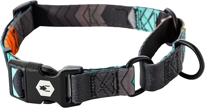 Wolfgang Heavy Duty Martingale Dog Collar with Quick Release Nylon Buckle for Walking & Training, ChevTech Print, Large