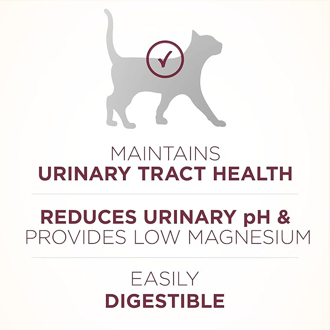 Purina ONE High Protein Dry Cat Food, +Plus Urinary Tract Health Formula - 22 lb. Bag