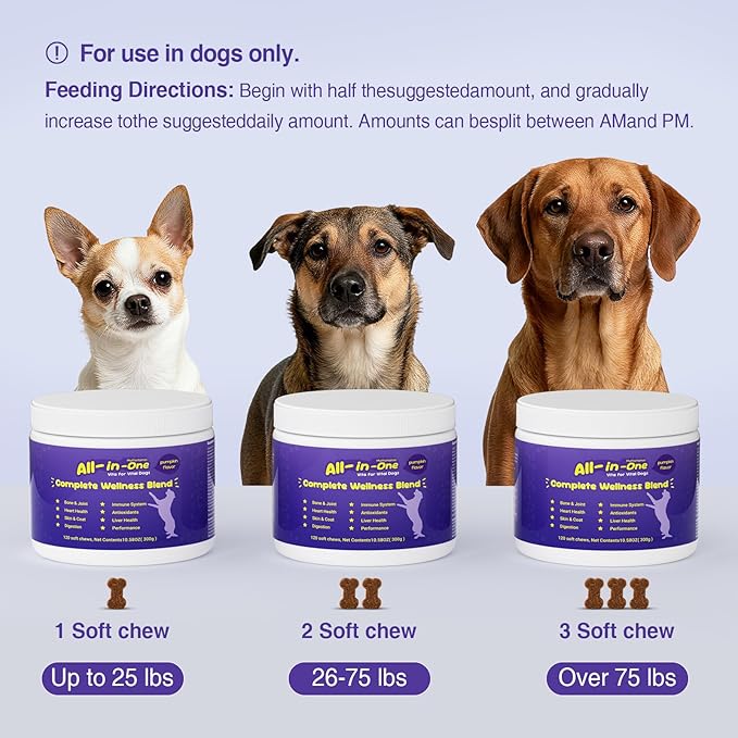 Premium Probiotics for Dogs with Digestive Enzymes & Fiber | Duck Flavor Soft Chews for Itchy Skin, Ear Health, Gut & Immune Support (Pumpkin)