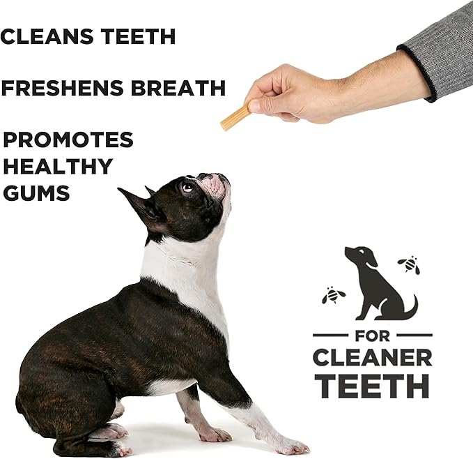 PROJECT HIVE ·PET COMPANY· Dental Chew Stick Treats for Small Dogs 12 oz. Ñ Healthy, Natural Peanut Butter Flavored, Natural, Vegetarian Chews, Made in The USA (Chew Sticks, Small Breeds)