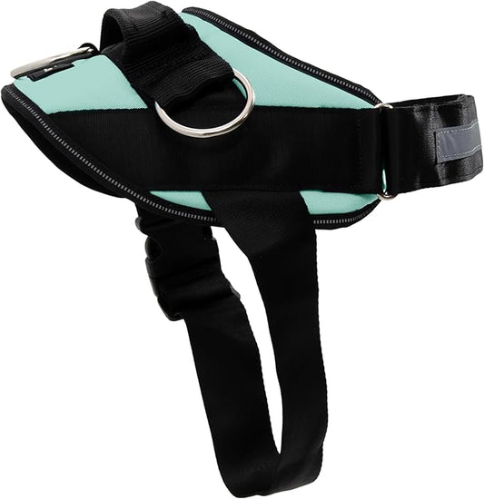 ShawnCo Essential Dog Harness, No-Pull Pet Vest with 3 Leash Clips, No Choke, Reflective, Adjustable and Padded, for Easy Walking and Training for Small, Medium and Large Dogs (Seafoam, S)