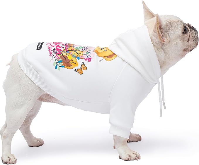 Blooming Teddy Dog Hoodie Dog Clothes Extra Warm Fleece Lining Stretchy Fit for Small Medium Dogs (White, Large)