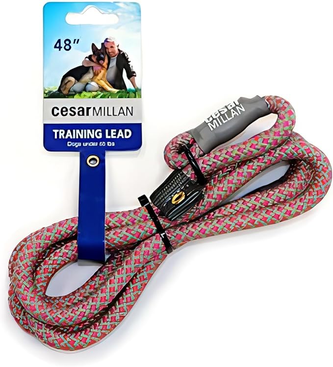 Cesar Millan Slip Lead Leash™ - 2-in-1 Slip Collar Dog Training Lead & Collar | Heavy Duty Durable Weatherproof Rope Leash, No Pull Training | Length 4ft Diameter 4/10”(Regular, Pink/Grey)