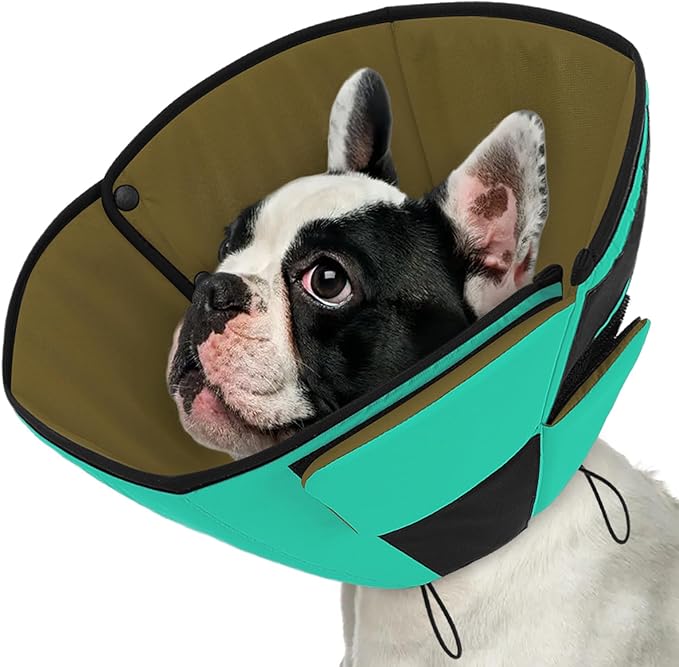 Queenmore Dog Cones for Small Dogs, Pet Cone for Dogs, Dog Cone Collar to Prevent Licking Wounds, Adjustable Comfy Cone for Dogs, Adjustable Elizabethan Collar for Pets, Green S