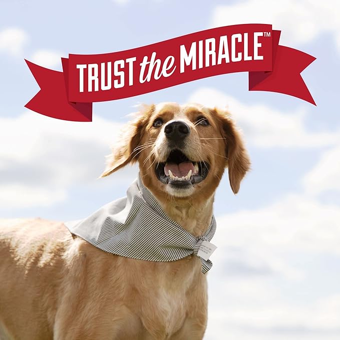 Nature's Miracle Urine Destroyer Plus for Dogs, Enzymatic Formula for Severe Dog Urine Stains, 17.5 oz