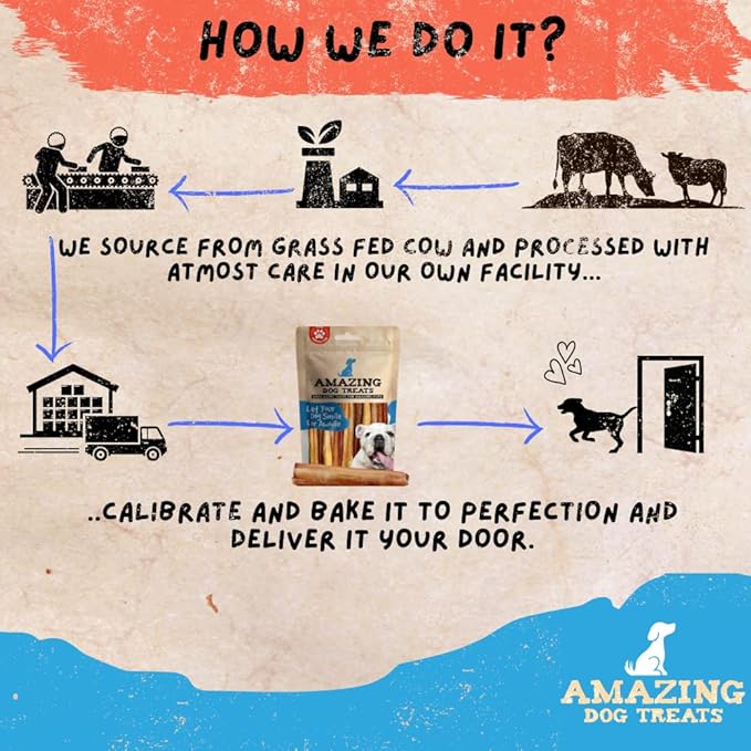 Amazing Dog Treats - 6 Inch Extra Thick Bully Sticks (100 Count) - Bulk Bully Sticks for Dogs - No Hide Bully Stick Dog Bones