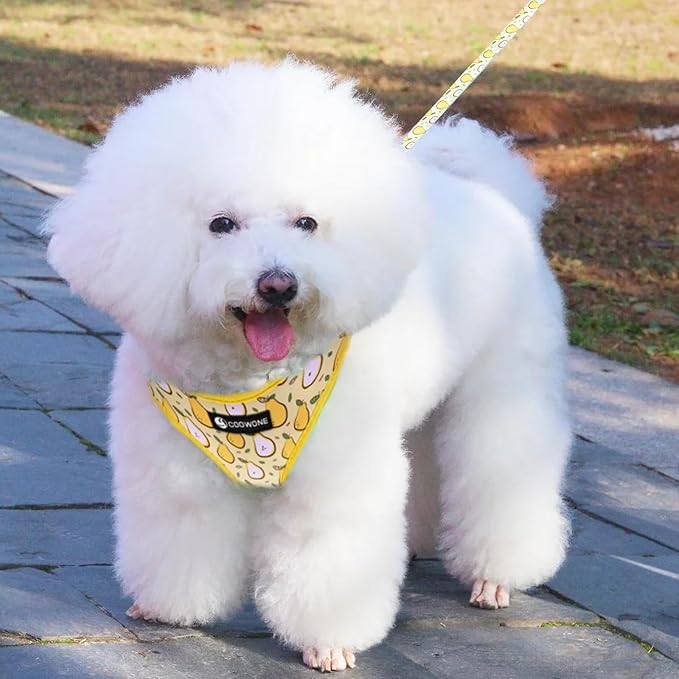 Dog Harness and Leash Set, Adjustable Dog Harness, Dog Leash, No Pull No Choke Puppy Harnesses for Walking Training for Small Medium Pet