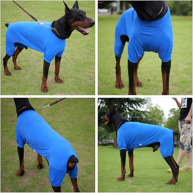 LoveLongLong Dog Jumpsuit with UV Protection and Quick-Dry Fabric for Spring Summer Pet Pajamas Royel Blue XS