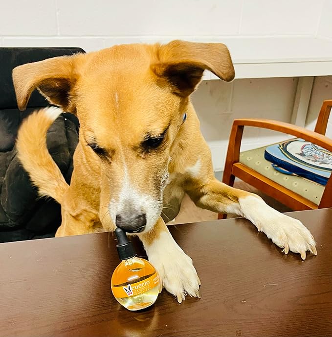 Warren London Dog Cuticle & Nail Revitalizing Oil | Moisturize, Strengthen, and Nourish | Vitamin E - Cruelty-Free, Non-Greasy Formula | Gentle Daily Care for Healthy Dog Nails & Paws