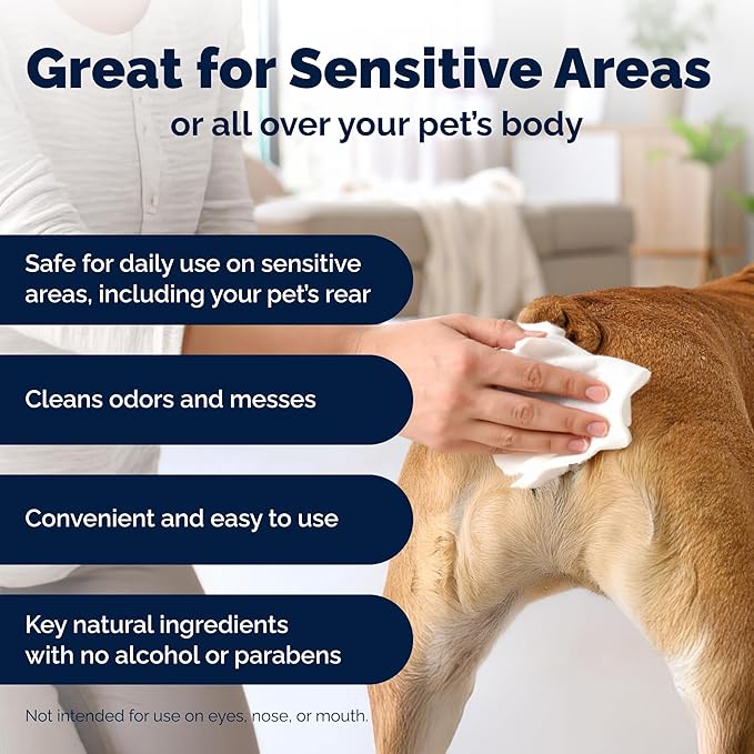 Vetnique Labs Glandex Dog Wipes for Pets Cleansing & Deodorizing Anal Gland Hygienic Dog & Cat Wipes with Vitamin E, Skin Conditioners and Aloe (100ct Pouch)