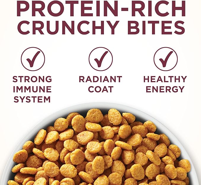 Purina ONE High Protein Dry Cat Food, +Plus Urinary Tract Health Formula - 16 lb. Bag