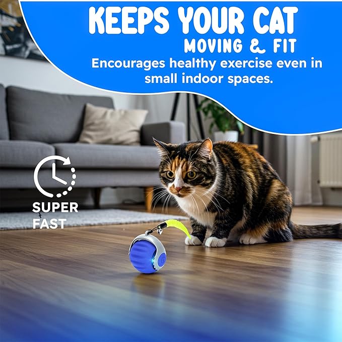 Turbo Tail 3.0 Cat Toy (2-Pack) – 2025 Smart Interactive Cat Toy Ball, Speedy Motion-Activated Toy for Indoor Cats, Rechargeable & Durable Design (Orange & Blue)
