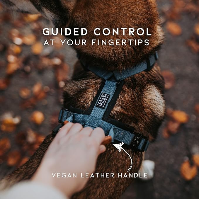 MADE TO ROAM Premium Explorer Harness - Y-Shaped Dog Harness with Adjustable Durable Nylon, Soft Padding, Metal Buckles and Leather Handle for Small, Medium, Large Dogs (Nevada Evening, Size 1)