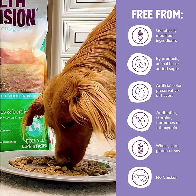 Health Extension Grain Free Duck & Sweet Potato Dry Dog Food (4 lb / 1.81 kg) - Lean Protein Formula with Turmeric & Antioxidants for Healthy Skin & Digestion