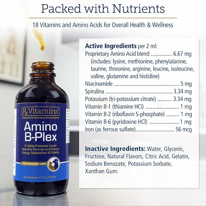Rx Vitamins Amino B Plex Cat & Dog Supplement - Vitamin B Complex Liquid Plus Amino Acids for Dogs & Cats - Appetite Booster and Weight Gainer Cat & Dog Vitamins - 4 oz