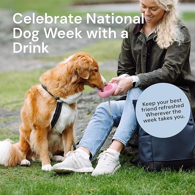 MalsiPree Insulated Dog Water Bottle - 24 Oz, Pink - Leak-Proof Stainless Steel Portable Travel Dispenser & Bowl