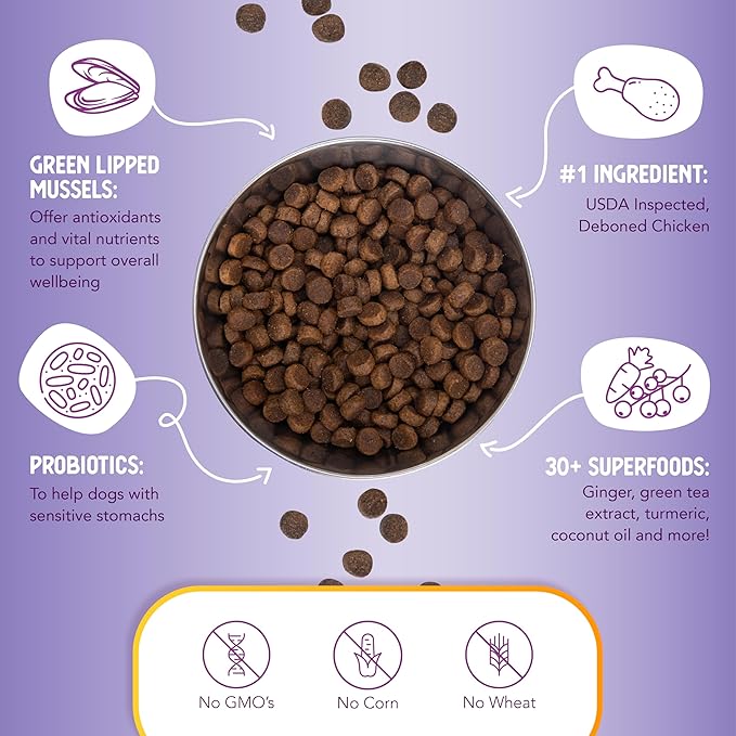 Health Extension Large Bites Chicken & Brown Rice Dry Dog Food (30 lb / 13.61 kg) - Protein-Rich Formula with Probiotics & Essential Nutrients for Larger Breeds