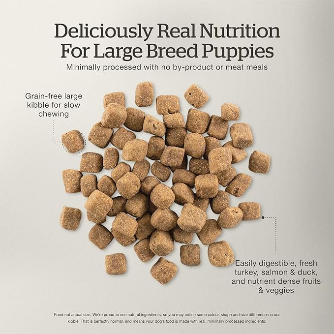 Now Fresh Grain-Free Large Breed Dry Puppy Food with Turkey, Salmon & Duck, Healthy Kibble for Growing Dogs with Real Meat & Fish, Chicken-Free, Pumpkin & Probiotics for Good Digestion, 25 lb Bag