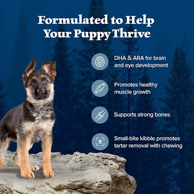 Blue Buffalo Wilderness Puppy High-Protein Dry Dog Food with Real Chicken, Grain-Free, Made in The USA with Natural Ingredients, Chicken, 13-lb. Bag