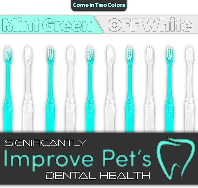 H&H Pets Toothbrush for Small Dogs & Cats - Soft and Extra Small Toothbrush Designed for Cats, Puppies, and XS Breed Dogs Like Teacups, Chihuahuas, Yorkshire, and Poodle, 8 Count Pack