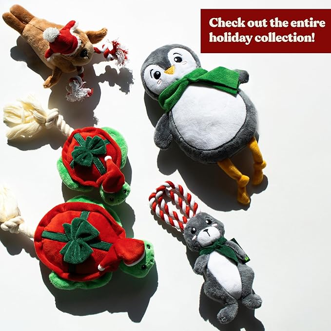 Dog Toys | Holiday Plush Toy Turtle Stuffed Animal for Dogs | Medium Eco Friendly Toy - Easy to Clean and Made from Non Toxic Materials