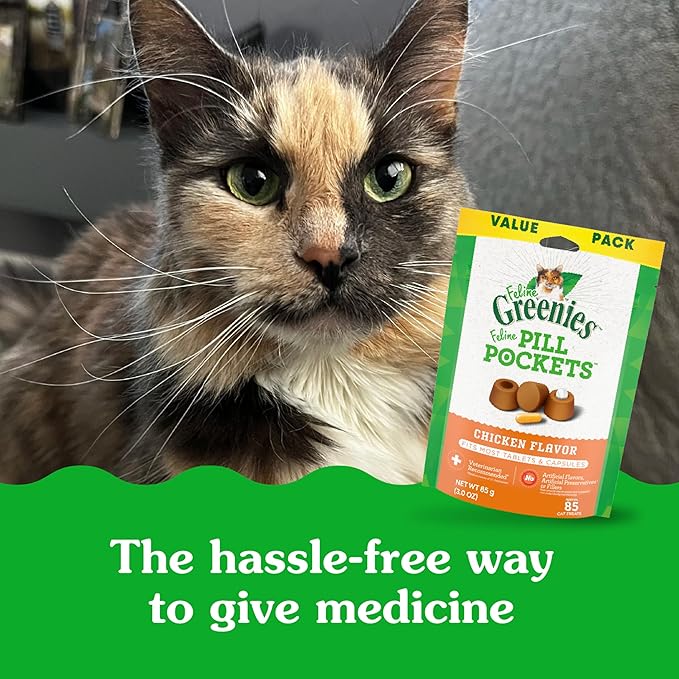 Greenies Feline Pill Pockets for Cats Natural Soft Cat Treats, Salmon Flavor, 1.6 oz. Pouch (45 Treats)