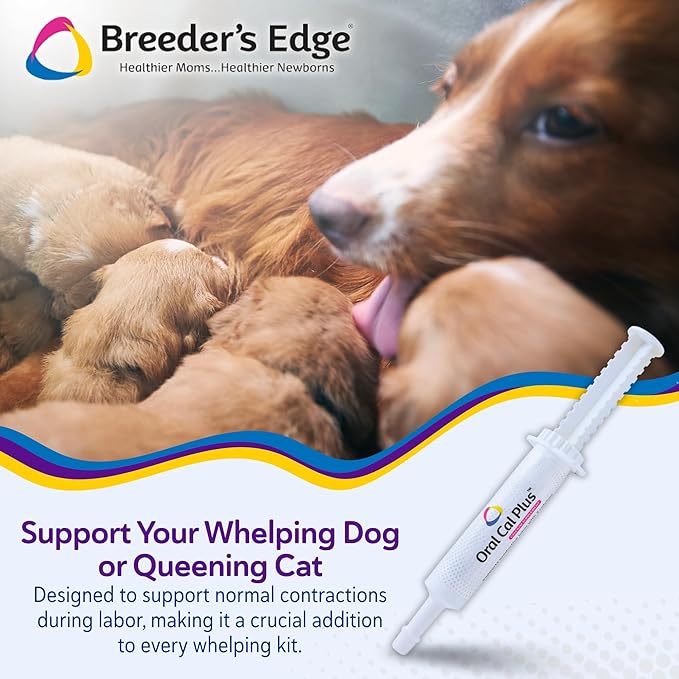 Breeder's Edge Oral Cal Plus Gel, Whelping and Queening Calcium Supplement Gel for Dogs and Cats Delivers 3 Calcium Sources in Labor to Support Strong and Normal Contractions, 15ml Paste
