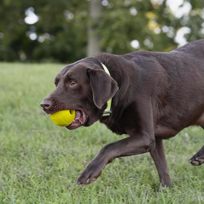 Chew King Flavored Rubber Ball Collection, 3 Inch Chicken Flavor Rubber Balls 2-Pk