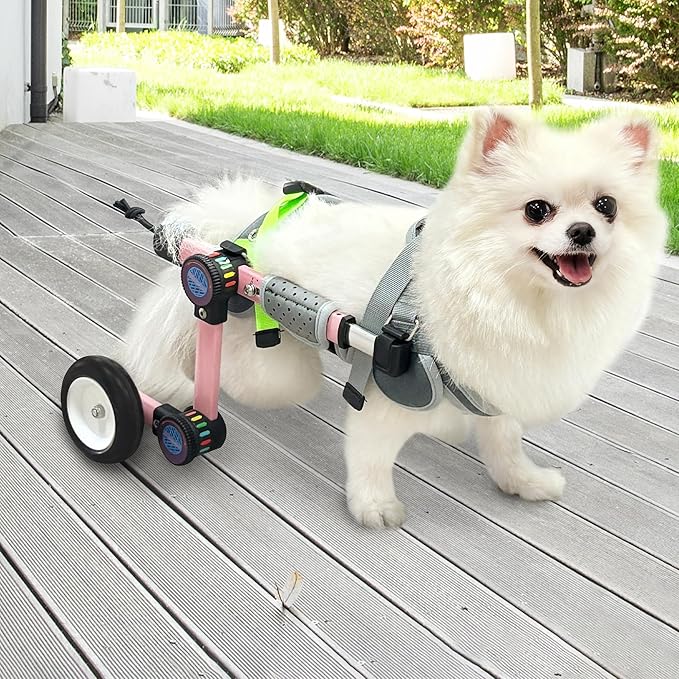 Adjustable Dog Wheelchair for Back Legs Mobility Support Lightweight Pet Wheelchair for Disabled Hind Legs Walking Stable Dog Cart for Pets